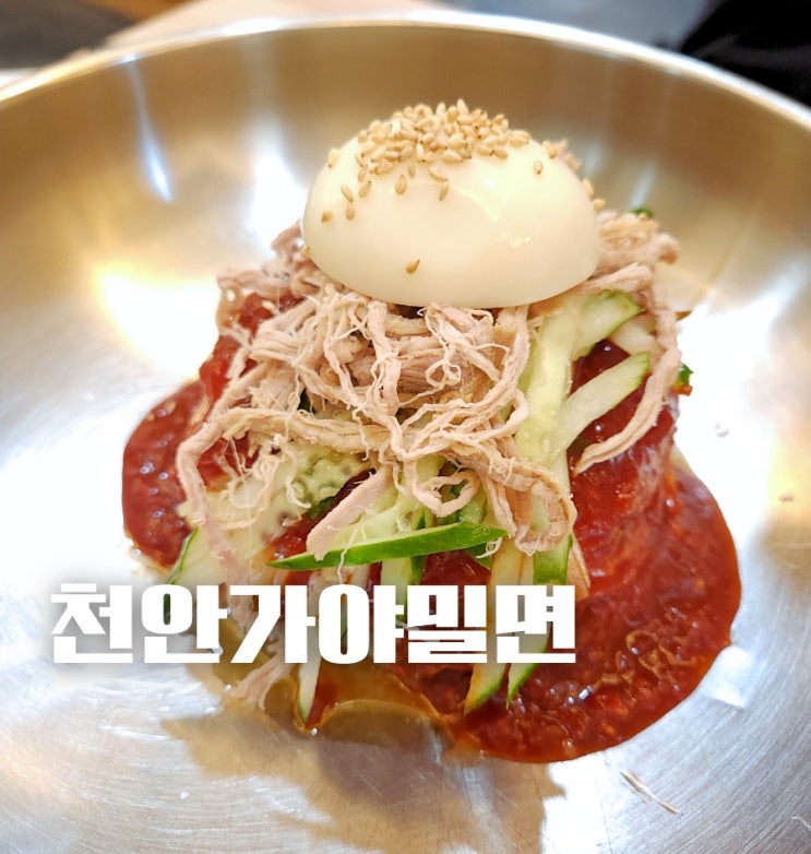  성환 천안가야밀면 찐 부산 사람이 먹어 본 솔직 맛집후기 (ft. 물밀면, 비빔밀면)