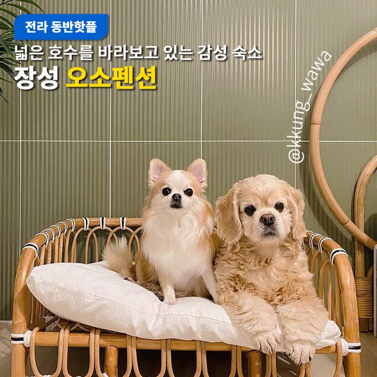  전라도 애견 동반핫플 장성 오소펜션, 수양호 물멍 어때?