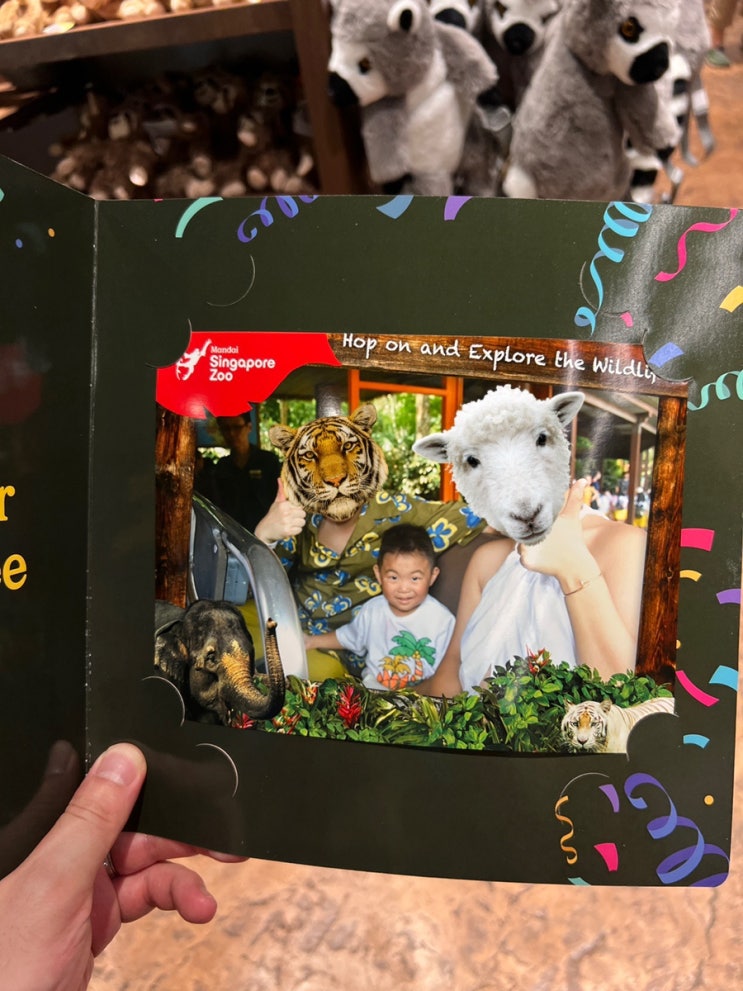  싱가폴 아기랑 여행 싱가포르동물원(Singapore zoo) 후기 (아기무료/동물먹이주기체험)