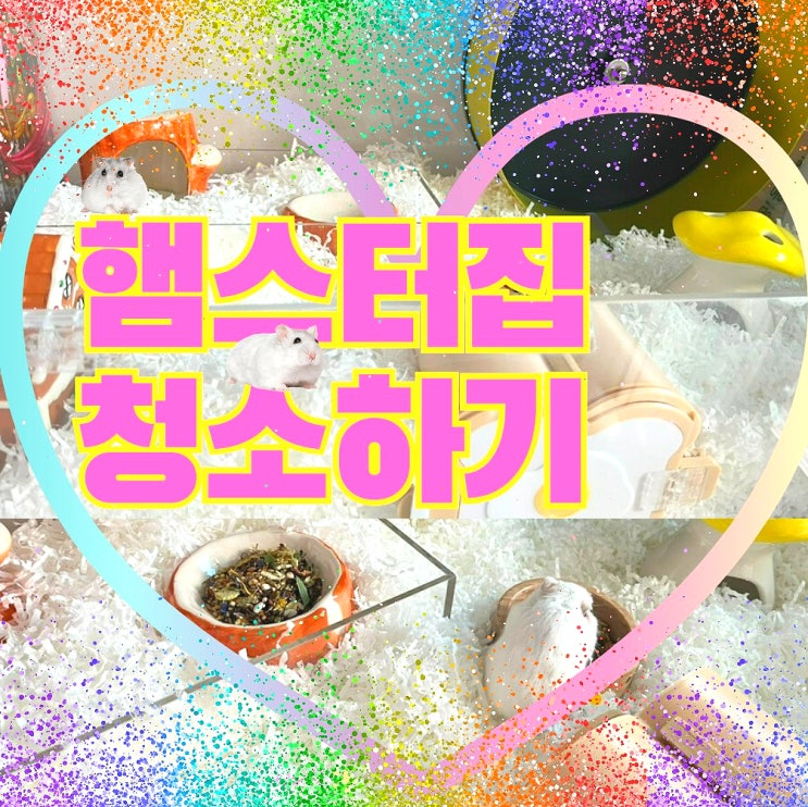  햄스터집 청소하기 & 베딩교체주기