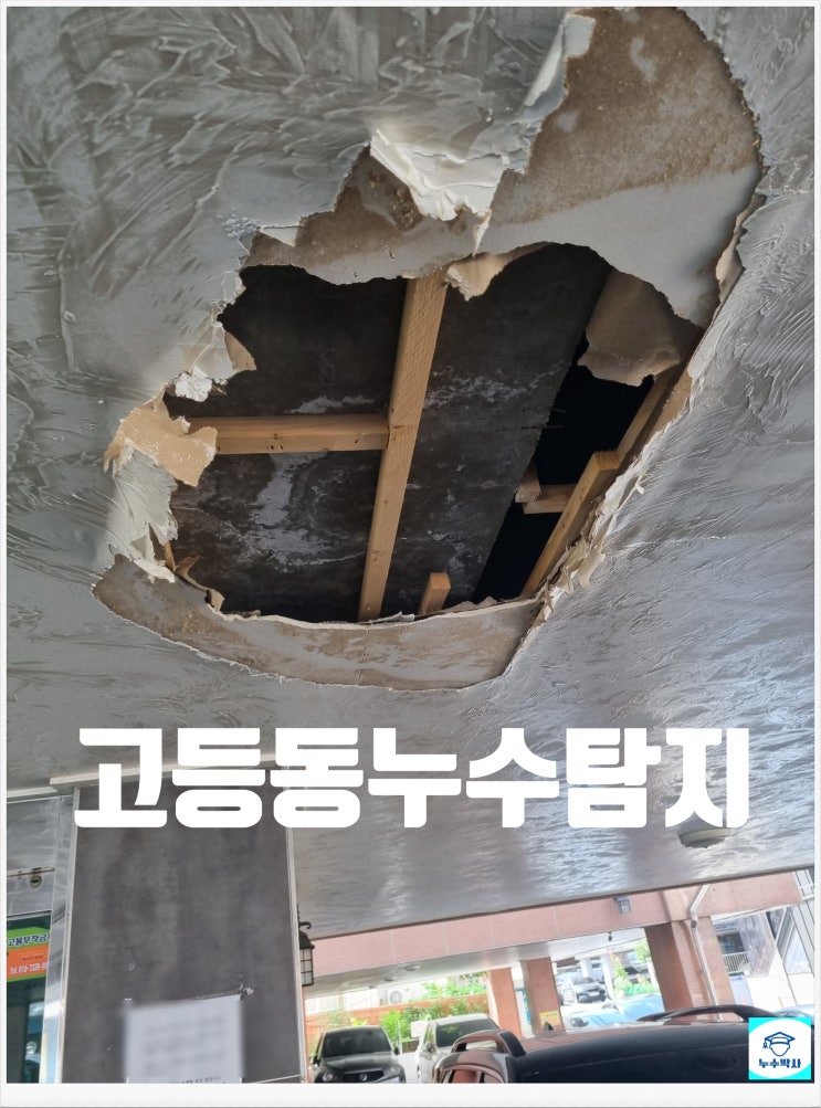  고등동 누수탐지 필로티 구조 다세대주택