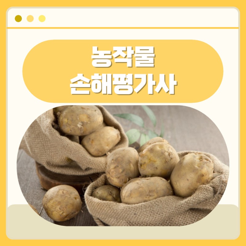 농작물 손해평가사 시험 일정, 과목, 합격률 및 난이도 분석