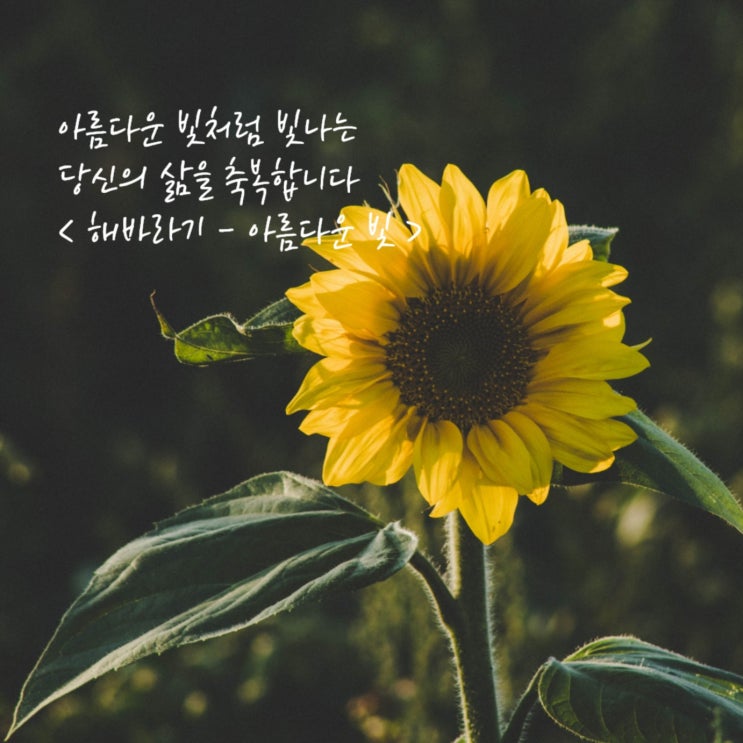  안녕, 8월