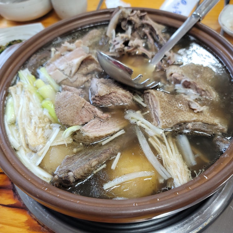 강릉 강동면 정감이마을 정감이능이백숙(강릉토박이 어머니추천 맛집) 강릉 강동면 정감이마을 정감이능이백숙(강릉토박이 어머니추천 맛집)