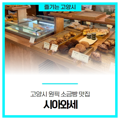 고양시 원픽 소금빵 맛집 '시아와세' 고양시 원픽 소금빵 맛집 '시아와세'