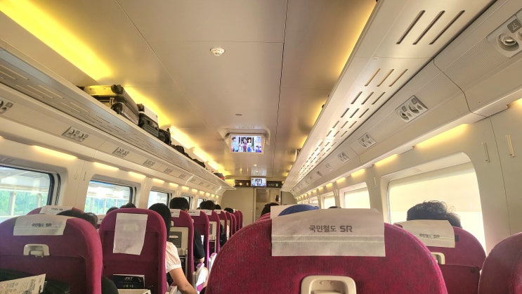  srt 플레이 ktx 차이 알고 장거리전용 좌석 예매하는 꿀팁