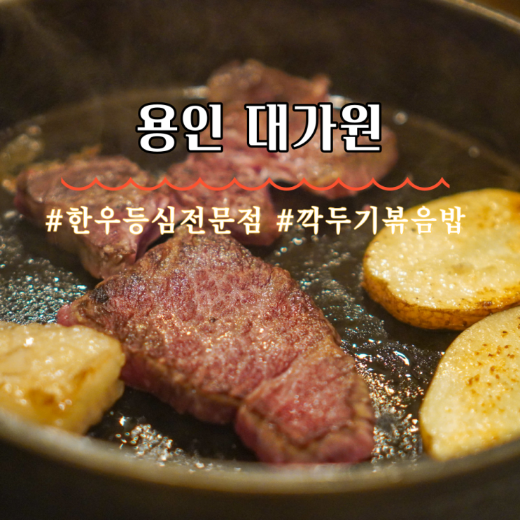  용인 은화삼cc 맛집 한우등심전문점 대가원