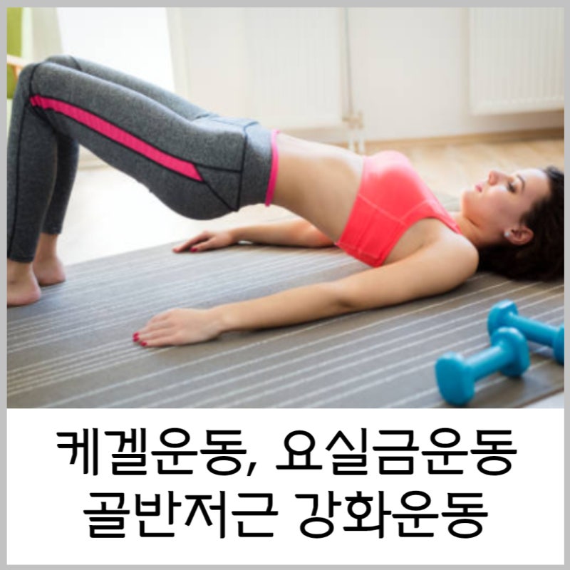 케켈운동 방법 요실금운동 골반저근강화운동