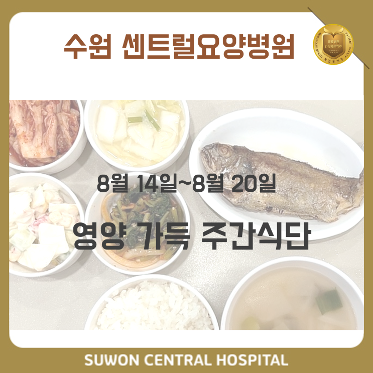  수원요양병원 추천, 중점재활 요양병원, 재활과 요양을 동시에!! : 8월 3주차 영양 가득 식단 안내