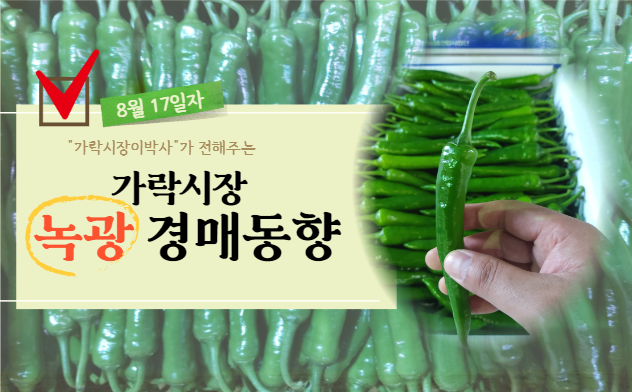  [경매사 일일보고] 8월 17일자 가락시장 녹광 경매동향을 살펴보겠습니다!