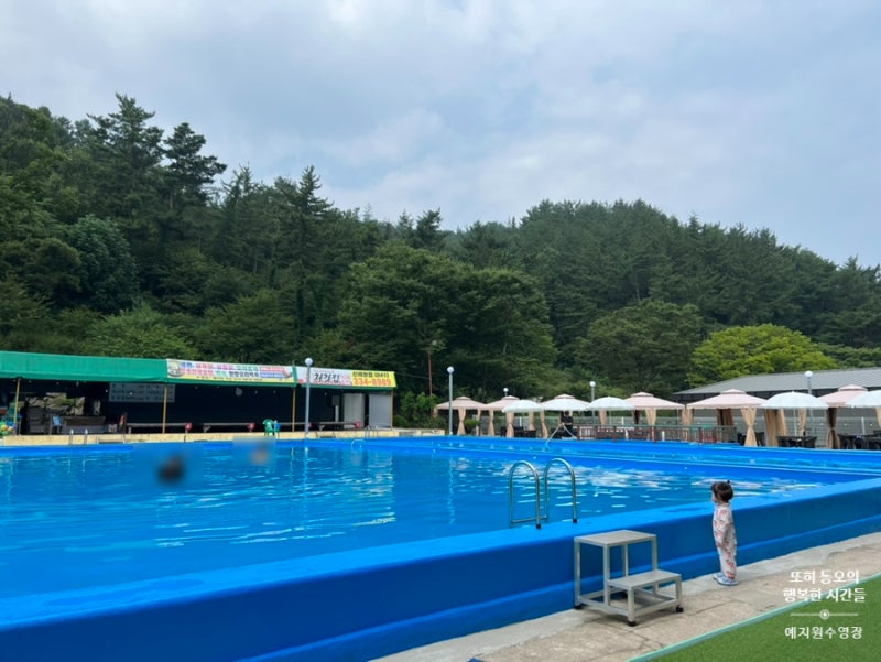 충남 예산 신례원 수영장“예지원야외수영장“에서 휴가보내기 (리모델링후)