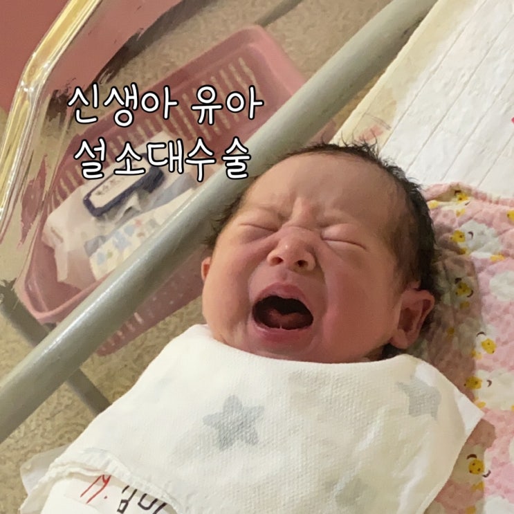  아기 신생아 유아 설소대 수술 하트혀 / 보험