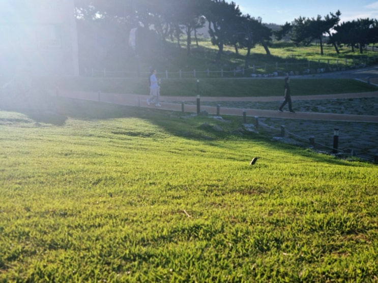  울산 생활에 적응 중