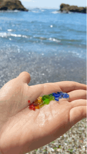  [Mendocino] 반짝반짝 무지개 글래스가 가득한Glass Beach/글래스 비치