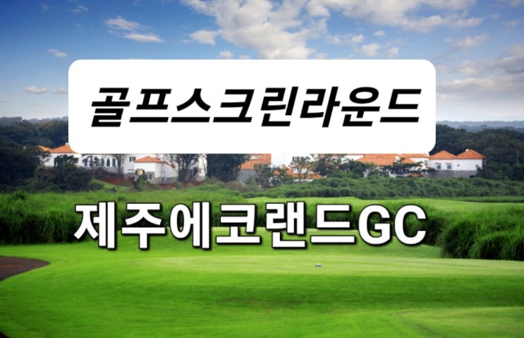 오산 세마골프존타워 제주 에코랜드GC 와일드  비치힐스코스 스크린 라운드