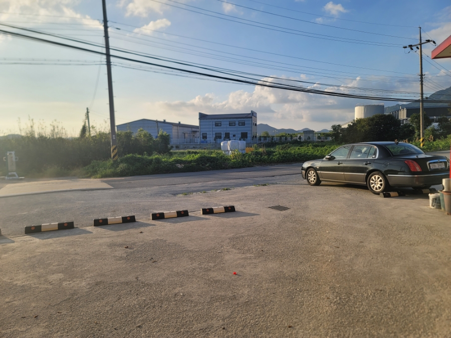 톤키톤키 사진 4