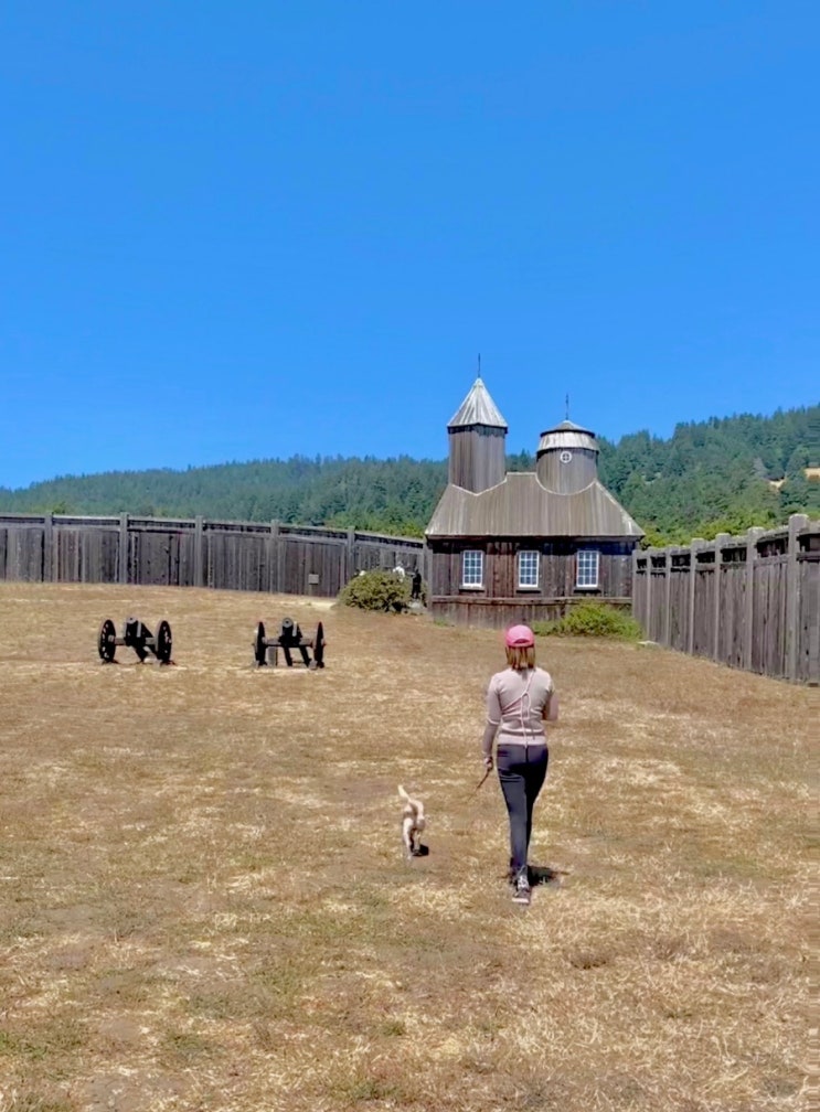  [Mendocino] 캘리포니아 1번 국도에서 만나는 서부 개척시대, Fort Ross State Historic Park/포트 로스 주립 역사 공원