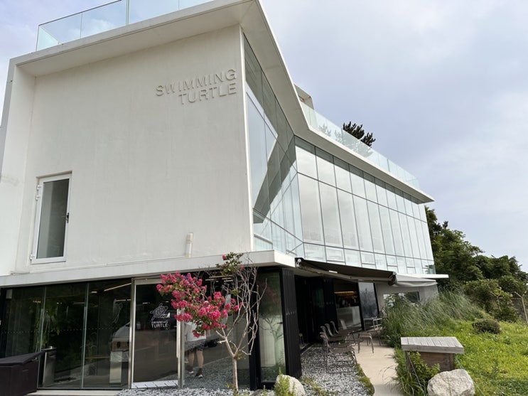  고성 아야진 카페, 스위밍터틀 DMZ 벌꿀플랫화이트 맛보기