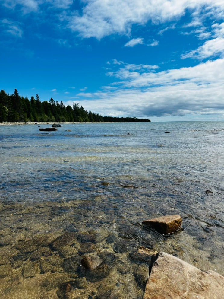  Misery Bay Provincial Nature Reserve (Coastal alvar trail) 미저리베이 프로빈셜 네이처 리저브 (코스탈알바 트레일)