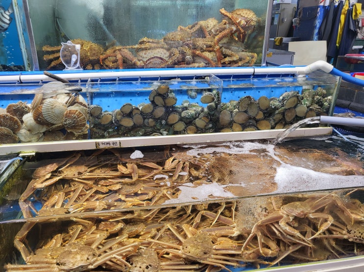  경기도 구리횟집 현우수산 구리대게 맛집