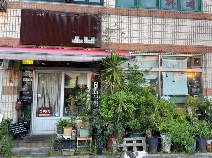  제주 l 탑동 골목의 작은 술집 l 데코보코