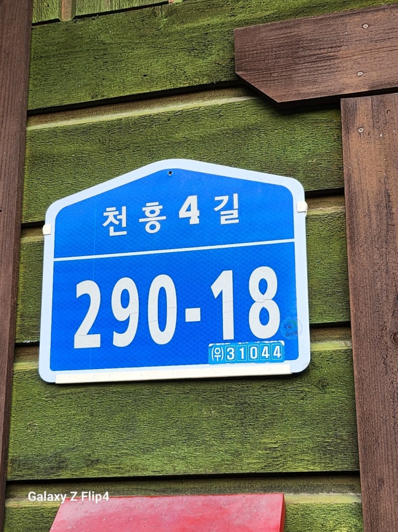 사진 3