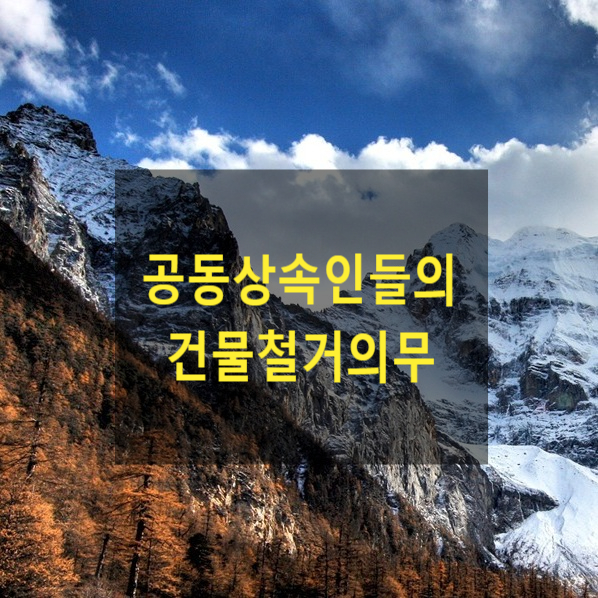  불법 점유물의 공동상속인들에게 건물철거청구를 하는 경우 상속인 전부를 상대로 소송을 제기하여야 하는지