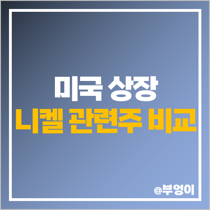 미국 니켈 관련주 종류 원자재 주식 BHP RIO VALE 주가 미국 니켈 관련주 종류 원자재 주식 BHP RIO VALE 주가
