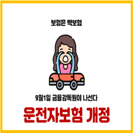  금융감독원 상품개정이 확정된 운전자보험