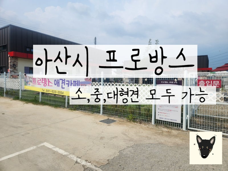사진 12