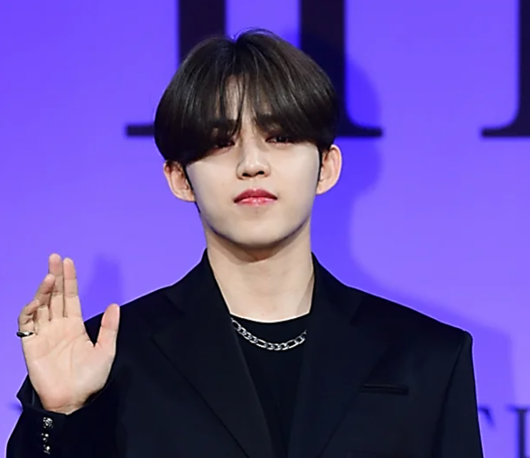 그룹 <b>세븐틴 에스쿱스</b> 촬영 중 무릎 십자인대 파열 <b>부상</b> 활동... 