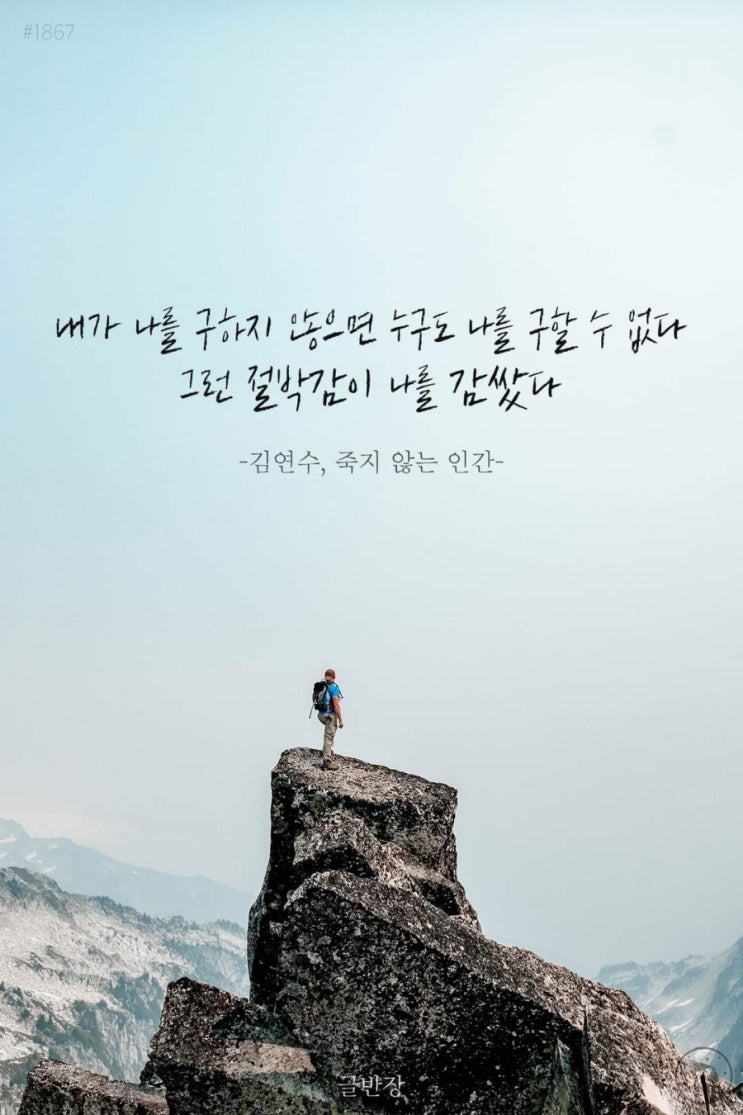 부거사이 [부동산 뉴스와 블로그] 8월 18일(금)