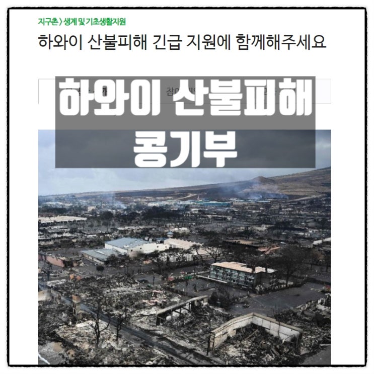 하와이 산불피해 이재민 돕기 해피빈 콩기부