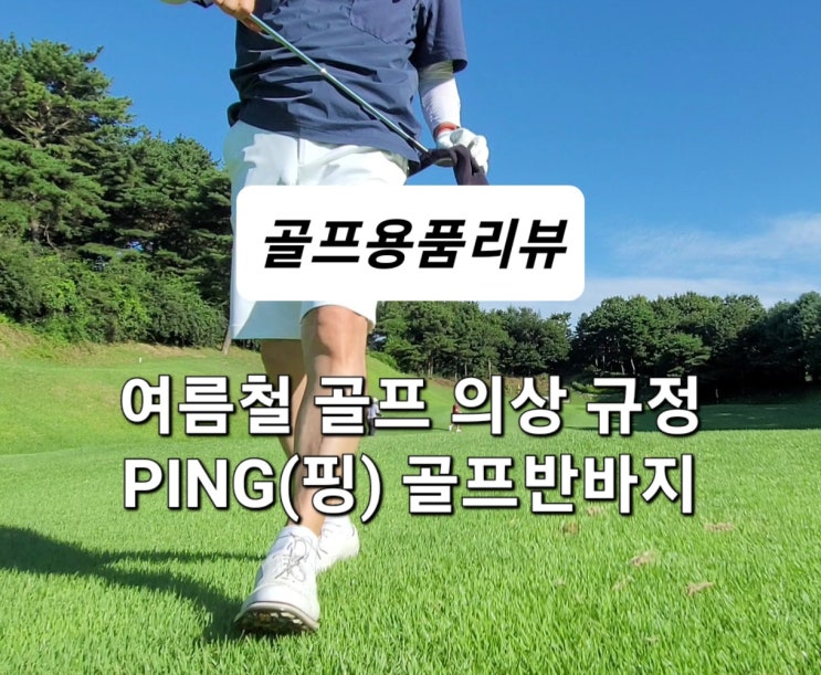핑(PING) 남성 골프 반바지 내돈내산 후기(feat. 골프 반바지 복장 규정)