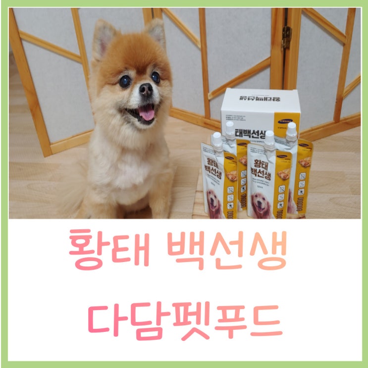  강아지 보양식 황태백선생 음수량늘릴때 좋아요