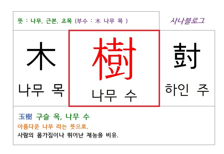  나무 수