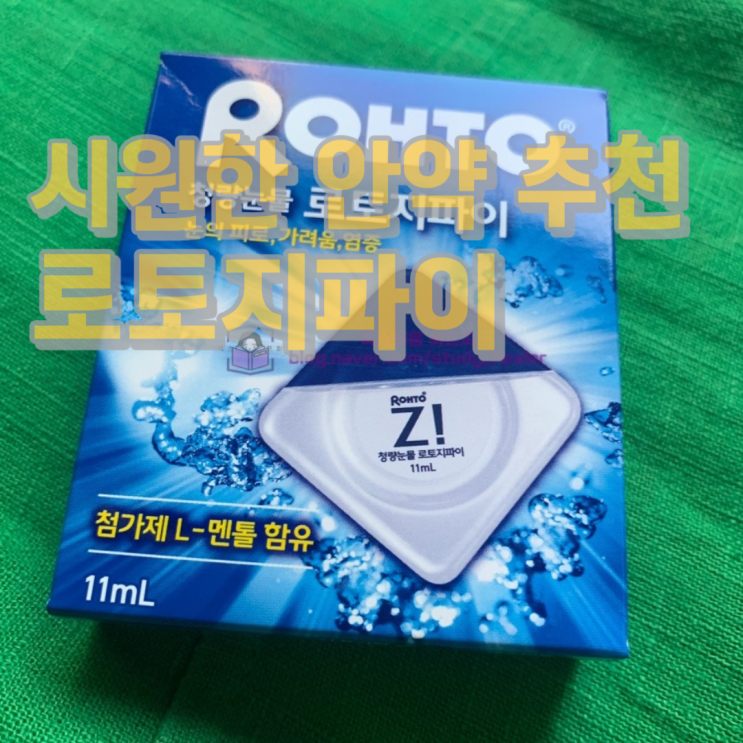  눈이 시원한 인공눈물 로토 지파이 내돈내산