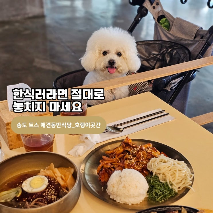  [송도 트리플스트리트 애견동반식당_호랭이곳간] 프로한식러라면 놓칠 수 없는 실내 애견동반 식당