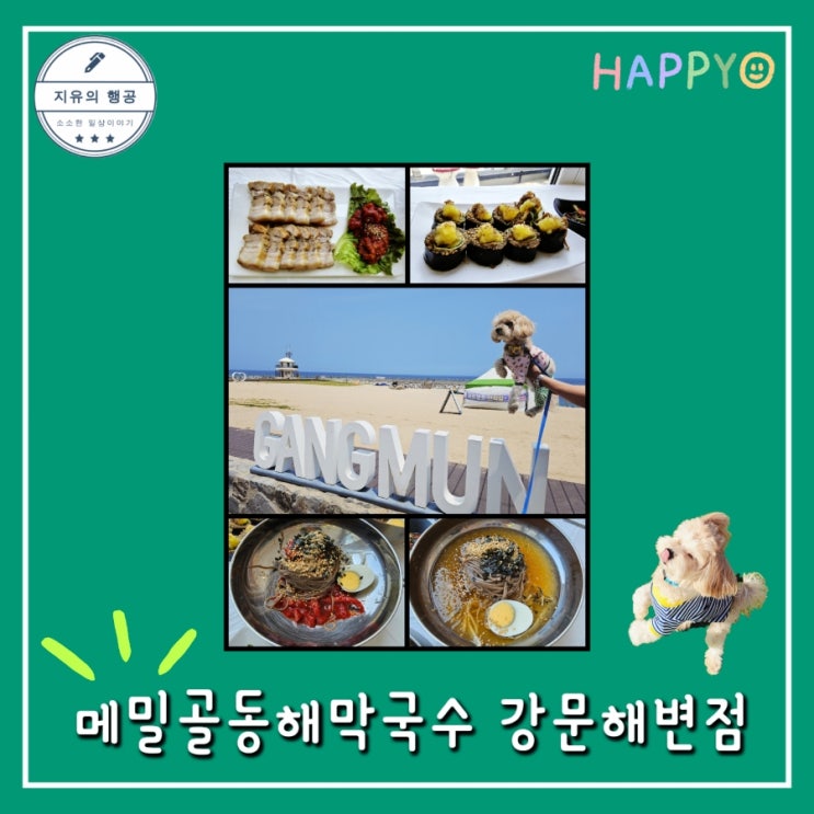 고씨네 동해막국수 강릉 본점ㅣ애견동반 강문해변 식당 추천 맛집 내돈내산