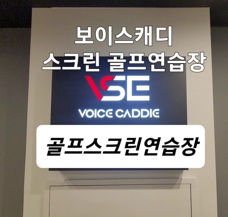동탄 실내골프 반송동 보이스캐디 VSE 동탄 탑 골프 동탄 골프연습장 방문 후기 동탄 실내골프 반송동 보이스캐디 VSE 동탄 탑 골프 동탄 골프연습장 방문 후기