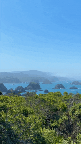  [Mendocino] 북부 캘리포니아 1번국도 여행중 갈 만한 트레일, 맛 집 및 숙소 Salt Point & Timber Cove/솔트 포인트 & 팀버 코브