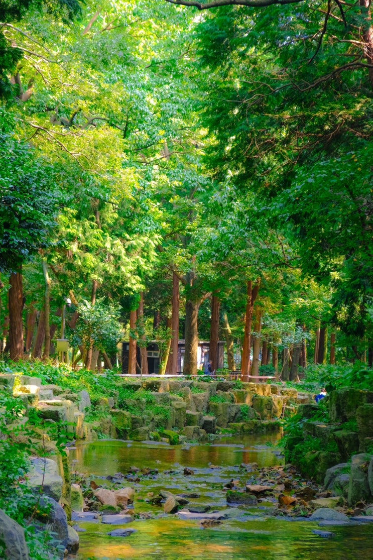  여수 미평산림욕장 피크닉하기에도 힐링하기에도 최고 여수인생스팟
