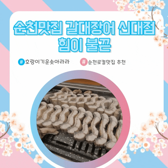  순천맛집 갈대장어 신대점 힘이 불끈(feat.내돈내산)