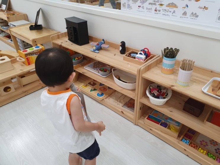  36개월/ 마마몽떼 몬테소리 센터/ 6개월 수강 후기