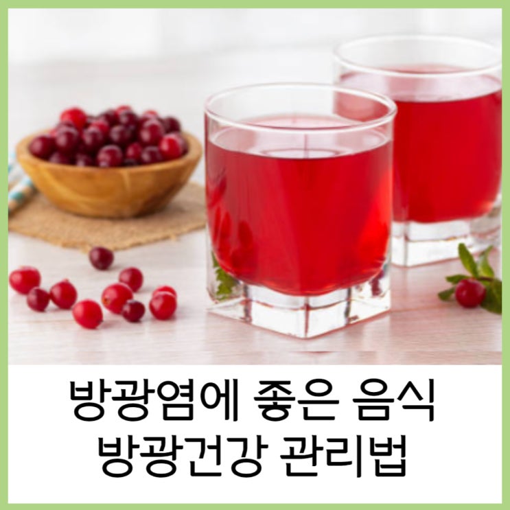  방광염에 좋은 음식 방광 건강 관리법