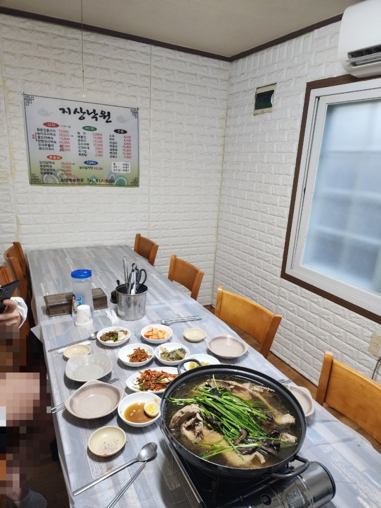  [대구/화원] 송해공원 지상낙원 , 코스모스