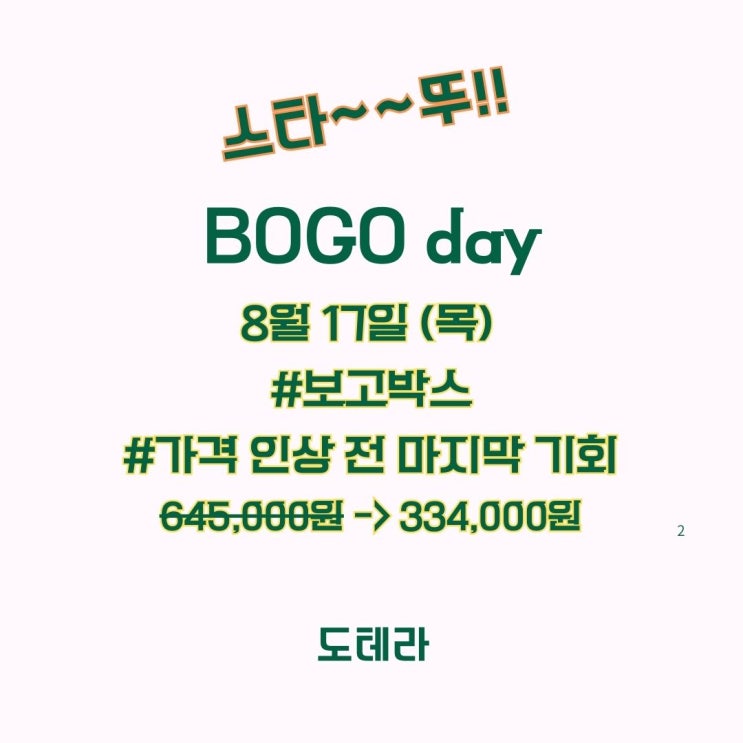  도테라 보고(BOGO)데이 시작했어요~~ 9월 인상 전 마지막 기회!!