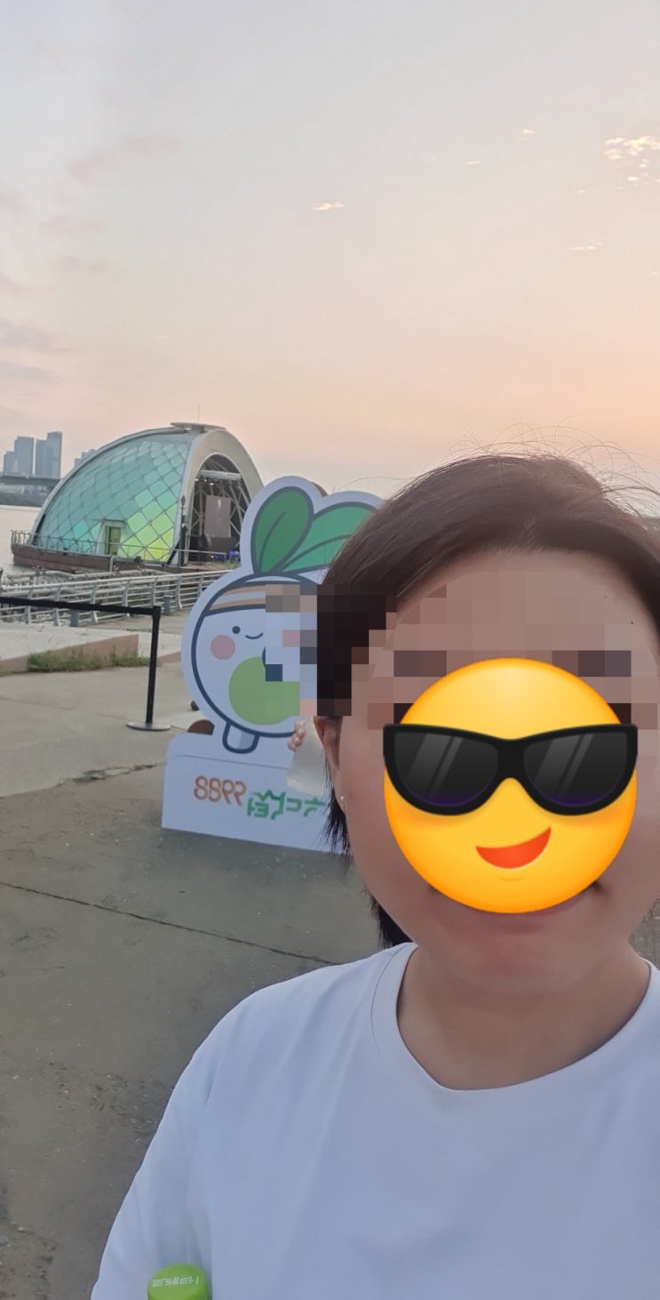  여름밤 한강따라 걷기 챌린지 후기 with 손목닥터9988 3기 모집