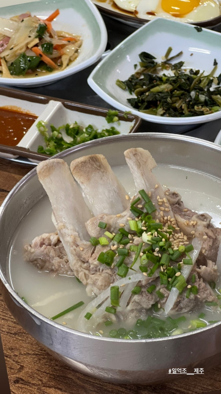 제주도 한림맛집 접작뼈국맛집 국물이 진국일억조식당