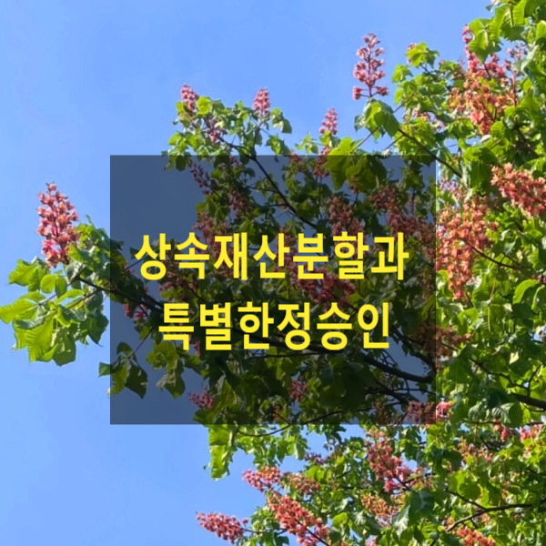  상속재산분할과 특별한정승인, 단순승인
